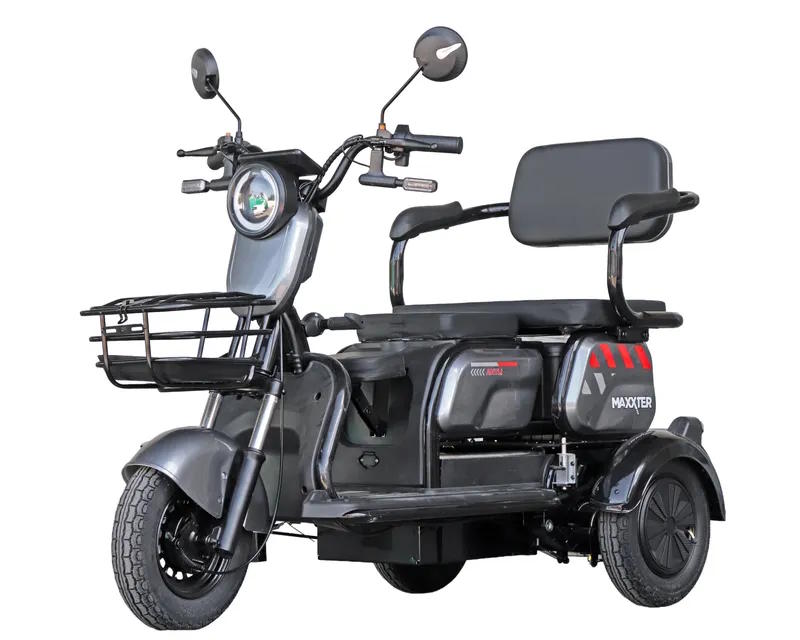 MAXXTER ANT LI Gray